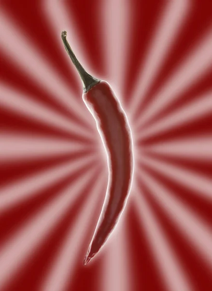 Pojedyncza Czerwona Papryka Chili Tylnym Blaskiem Efektem Gwiazdy Czerwonym Tle — Zdjęcie stockowe