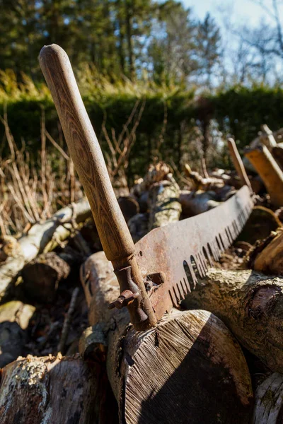 Close Old Fashioned Rusty Two Man Saw Sitting Large Pile — Stock Photo, Image