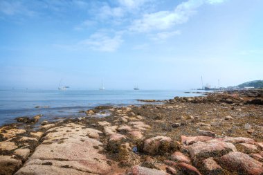 Mavi gökyüzü ve mavi denizler yelkenli tekneler ve liman, deniz yosunu ve deniz kenarındaki kayalıklar