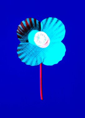Negative view of a plastic poppy, so that the red poppy head looks blue, shot on a blue background, with a red stem clipart