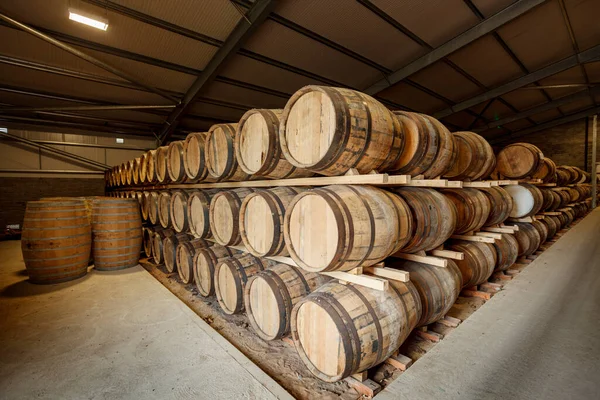 Rzędy Tradycyjnych Beczek Pełnej Whisky Ustawione Dojrzewanie Dużym Magazynie Ostrą — Zdjęcie stockowe