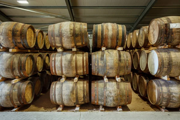 Righe Pile Tradizionali Botti Whisky Intere Messe Maturare Grande Magazzino Immagini Stock Royalty Free