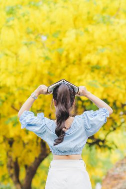 Dişi turistler, Chiang Mai 'nin antik şehir duvarlarının yanındaki güzel sarı çiçek açan Cassia fistülünü görmek için yürüyorlar ve Songkran festivali sırasında Cassia fistül çiçekleri sık sık çiçek açıyor.