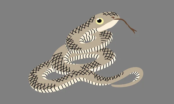 Dibujos Animados Serpiente Lengua Sobresaliente Cuerpo Marrón Rayado Ojos Mirando — Vector de stock