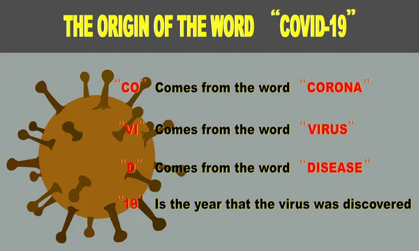 Origine Della Parola Covid Annuncio Dell Organizzazione Mondiale Della Sanità — Vettoriale Stock