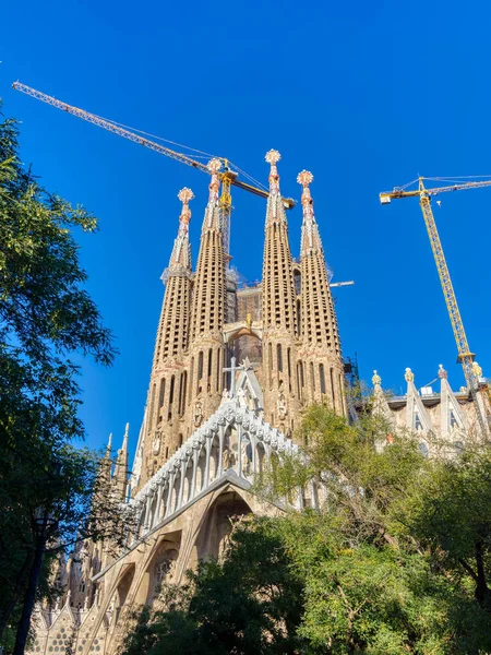 Sagrada Familia Catedral Diseñada Por Gaudí Barcelona España —  Fotos de Stock