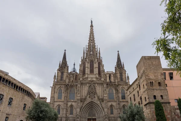 Catedral Barcelona Detalhe Fachada Principal Estilo Gótico Típico Com Frisos — Fotografia de Stock