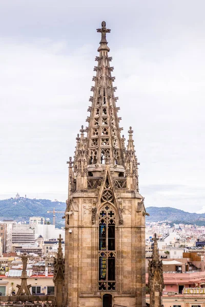 バルセロナ大聖堂 石のフリーズやガーゴイルと典型的なゴシック様式の主な尖塔の詳細 バルセロナのバリゴティック スペイン — ストック写真