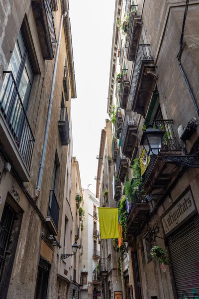 Barcelona Espanha Novembro 2018 Narrow Ancient City Street Barri Gotic — Fotografia de Stock