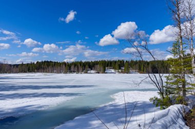 Karlı ormanda donmuş göle bakan küçük evler. Norveç