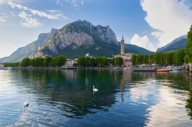 Kuğular Lecco limanında Como Gölü 'nde yüzerken, arka planda San Martino Dağı, İtalya