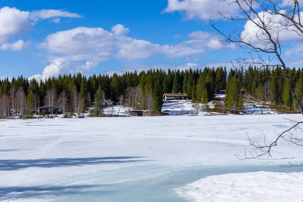 Małe Domki Zaśnieżonym Lesie Widokiem Zamarznięte Jezioro Norwegia — Zdjęcie stockowe