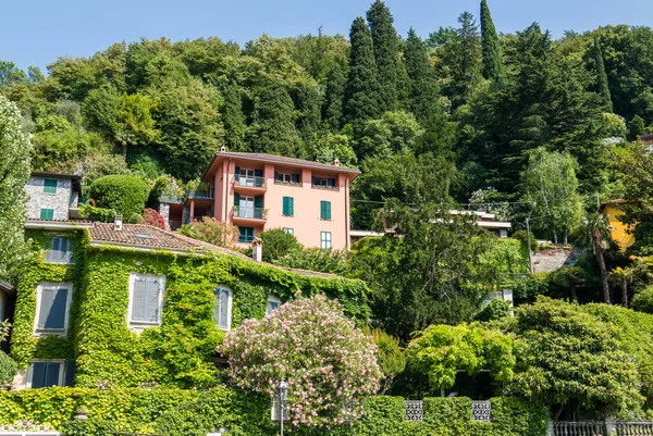Maisons Entourées Verdure Varenna Sur Lac Côme Italie — Photo