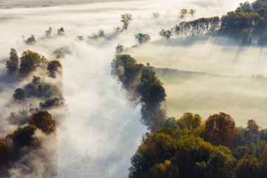 Siste ağaçlar, Airuno, İtalya