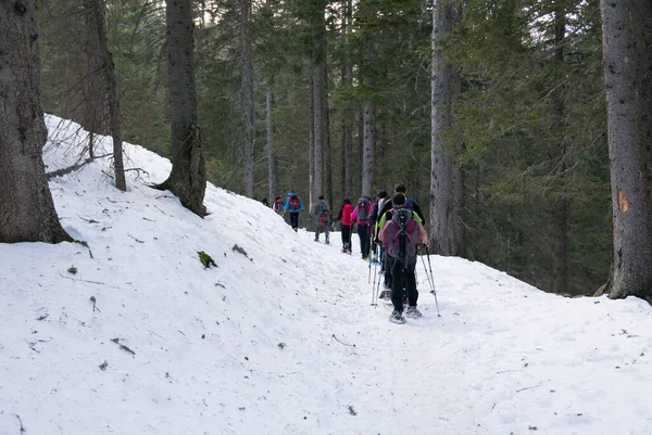 Grupo Caminhantes Caminhando Nas Montanhas Dos Alpes Caminhantes Estão Atravessando — Fotografia de Stock