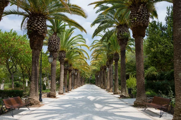 Jardins Públicos Iblei Ragusa Sicília Itália — Fotografia de Stock