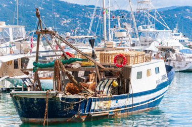 Santa Margherita Ligure, İtalya - 14 Eylül 2013: Güneşli bir günde Santa Margherita Ligure limanına demirlemiş balıkçı teknesi