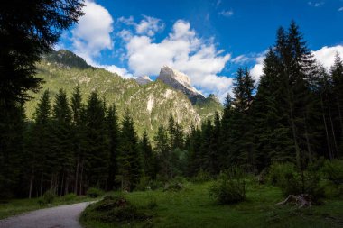 İtalyan Dolomitleri üzerinde Dobbiaco Gölü yakınlarında yeni ve güzel manzaralı bir dağ manzarası.