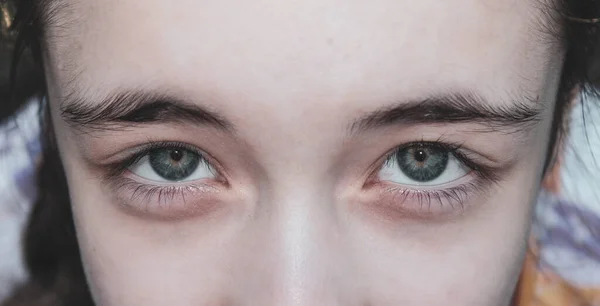 Das Mädchen Blickt Mit Blauen Augen Interessiert Auf Nahaufnahme Halbem — Stockfoto