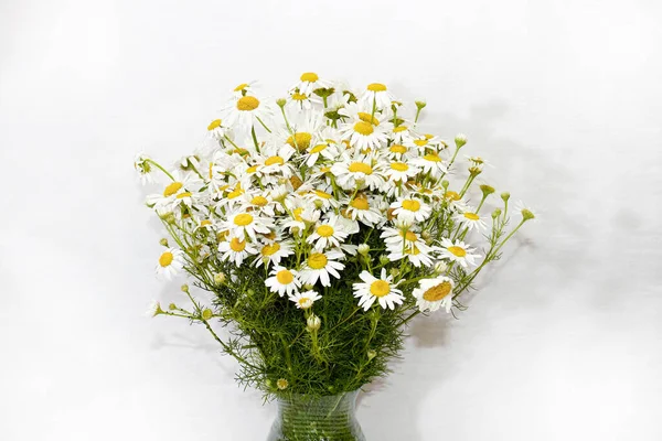 Bouquet of field daisies in a vase on a white background. Medium plan, selective shot.