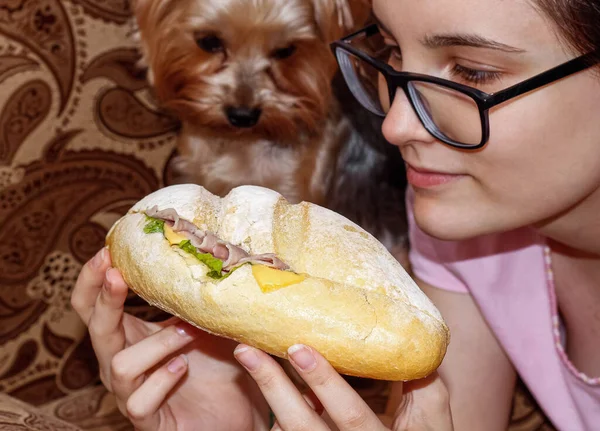 A girl with glasses is holding a delicious sandwich and a dog is sitting next to her in the background. Selective focus on the sandwich.