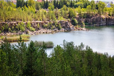 Sahilde bir ormanı ve gölü olan yukarıdan güzel bir manzara. Yukarıdan görünüşü.