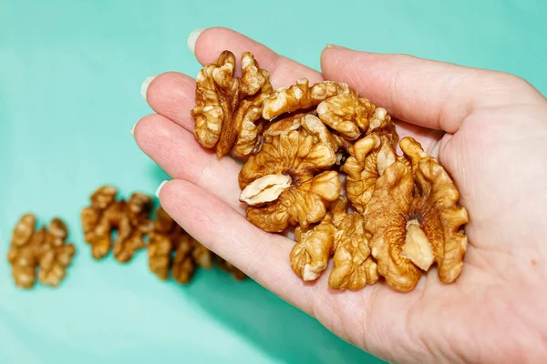 Walnut Kernels Palm Woman Hand Close — Stock Photo, Image