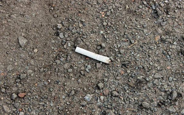 Cigarette Butt Lying Ground Concept Environmental Pollution View Top — Stock Fotó