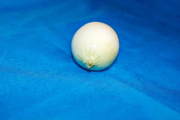 Una Cebolla Blanca Pelada Sobre Fondo Azul Enfoque Selectivo — Foto de Stock