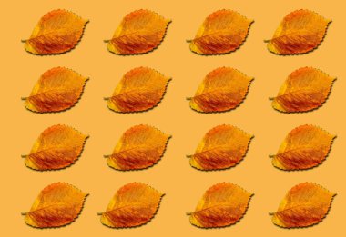 Turuncu arka planda sarı sonbahar yapraklı desen. Kalıplar, izler.