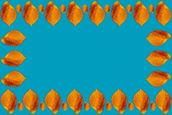 Mavi Arka Planda Sarı Sonbahar Yapraklarının Çerçevesi Metin Için Arkaplan — Stok fotoğraf