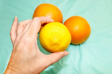 Bir kadının eli koca bir limonu tutar, arka planda portakallar. Yukarıdan görünüşü.