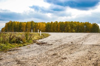 Güzel, sarı bir sonbahar ormanı arasındaki otoyol. Peyzaj.