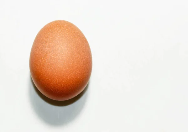 Куриное Яйцо Тенью Белом Фоне Закрыть — стоковое фото