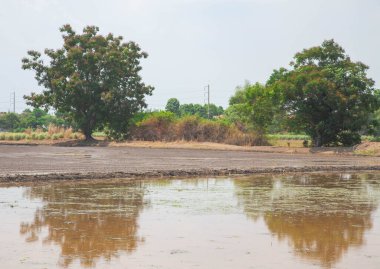 Bölgeyi ekime hazırlayan tarlalar.