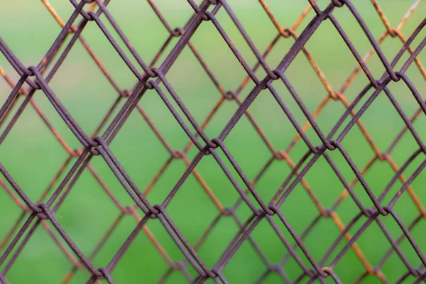 Drahtzaun Mit Grünem Gras Auf Background Cage Hintergrund — Stockfoto