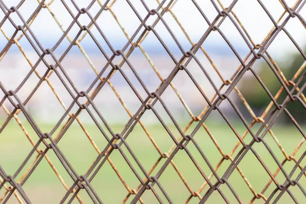 背景上有绿草的铁丝网围栏 — 图库照片