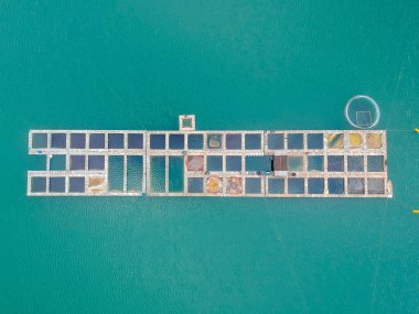 Sırbistan 'ın Zaovine Gölü