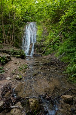 Sırbistan 'daki Şelale Skakavac