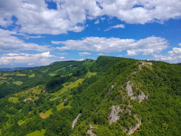 Sırbistan 'daki Tara dağları