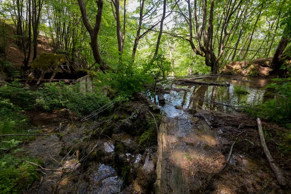 Taorska Vrela Řetěz Pramenů Vodopádů Sebii — Stock fotografie