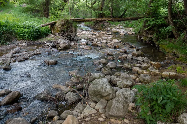 Taorska Vrela Kette Von Quellen Und Wasserfällen Sebia — Stockfoto