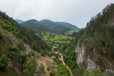 Sırbistan 'daki Tara dağları
