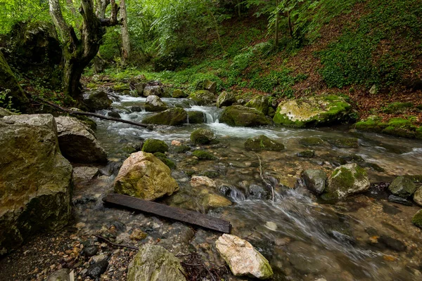 Die Wassermühle Des Serbischen Vampirs Sava Savanovic — Stockfoto