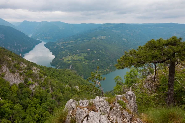 Banjska Stena 'dan Tara dağları ve Sırbistan' a bakış açısı