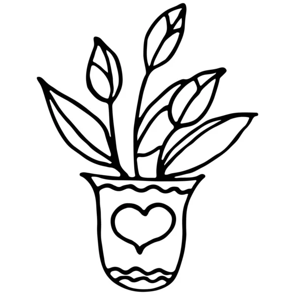 Maceta Ilustración Vectorial Dibujada Mano Con Plantas Con Flores Día — Vector de stock