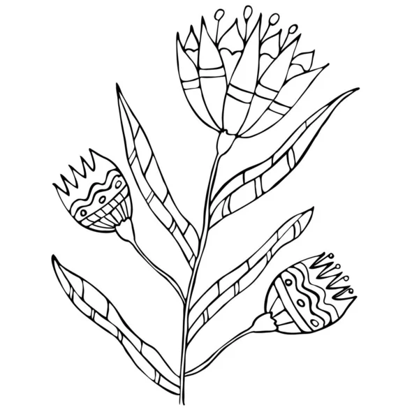 Flor Decorativa Desenho Para Colorir Para Adultos Crianças Vector Mão —  Vetores de Stock