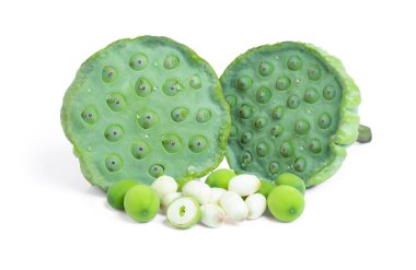 close up of lotus seeds isolated on white background with clipping path. clipart