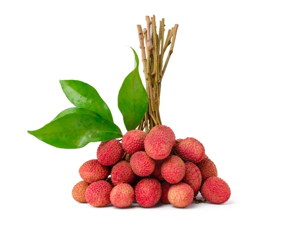 Fresh Lychee Leaves Isolated White Background Clipping Path Thai Fruit — Stock Photo, Image