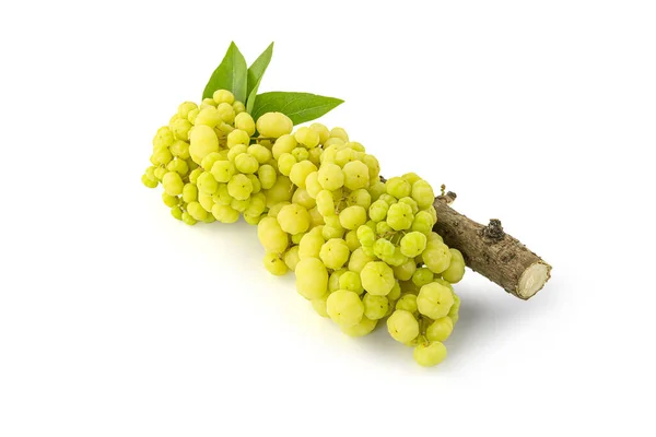 Star Gooseberry Leaves Isolated White Background Clipping Path — Stock Photo, Image